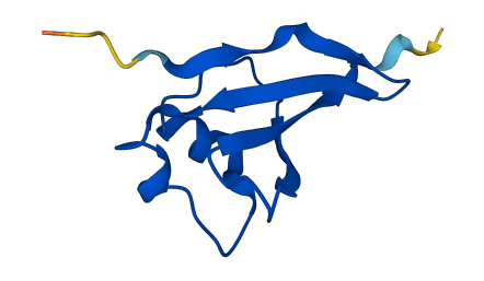 CKS1B 3D structure