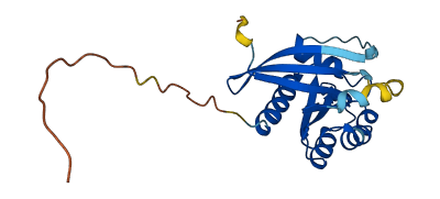 RAB10 3D structure