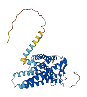 CXCR4 3D structure