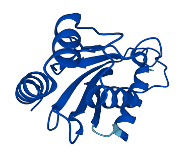 UBE2D3 3D structure