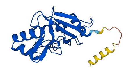 UBE2M 3D structure