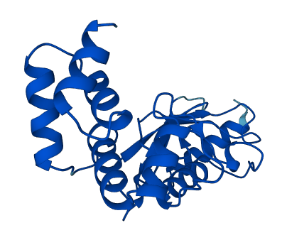 UBE2K 3D structure