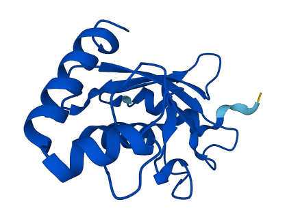 UBE2N 3D structure