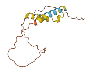 Kap 3D structure