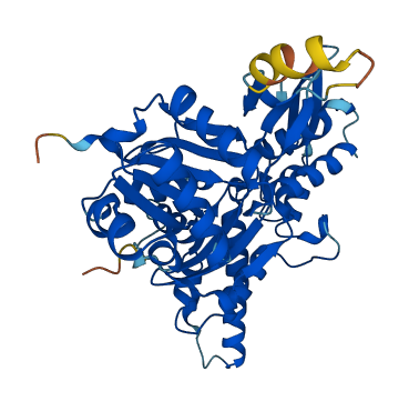 ACTR3 3D structure