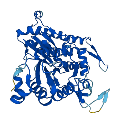 ACTR2 3D structure
