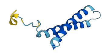 TMEM258 3D structure
