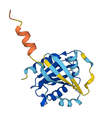 ARF3 3D structure