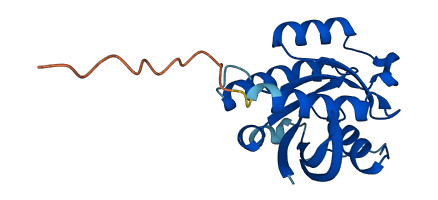 RAP2B 3D structure