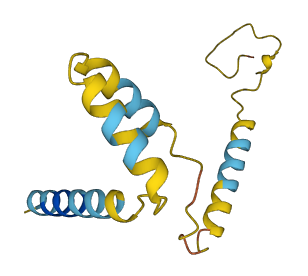 SST 3D structure