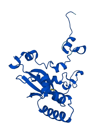 RPL15 3D structure