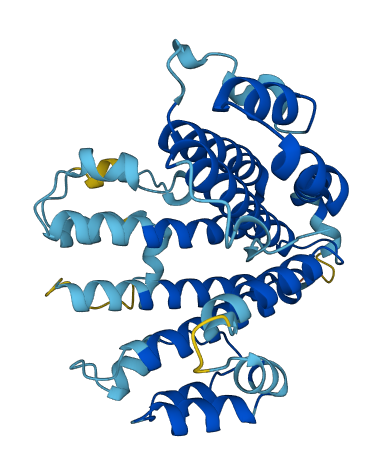 ATP6V0D1 3D structure