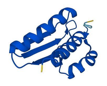 PCBD1 3D structure