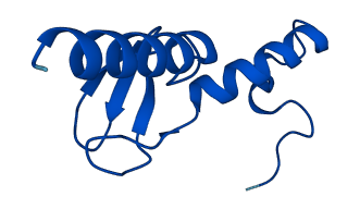 RPL37A 3D structure