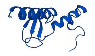 Rpl37a-ps1 3D structure