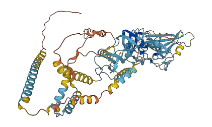 ERVK-21 3D structure