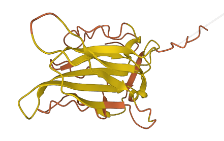ERVK11-1 3D structure