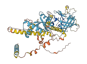 ERVK-25 3D structure