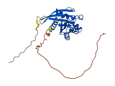 RND3 3D structure