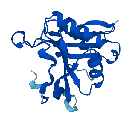NAA20 3D structure