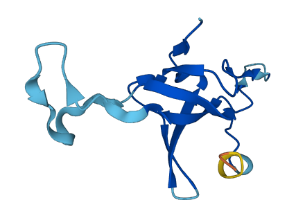 HSPE1 3D structure