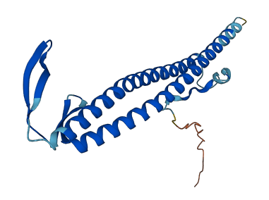 VBP1 3D structure