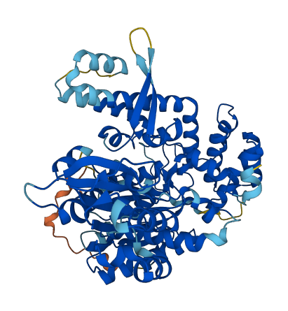 STXBP1 3D structure