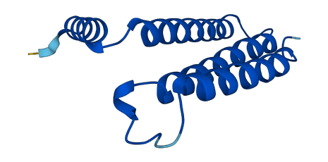 DAD1 3D structure