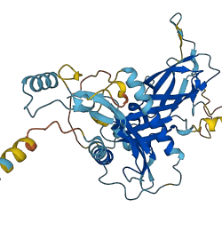 TGFB2 3D structure
