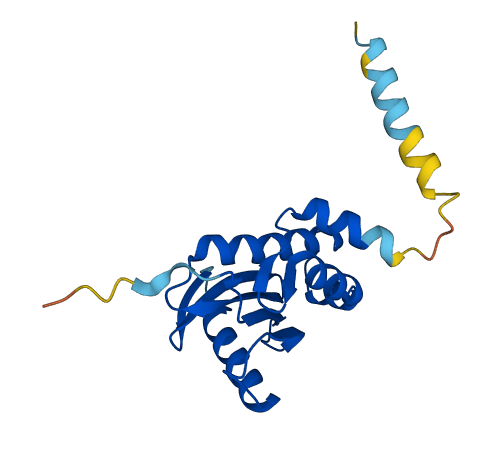 COPZ1 3D structure