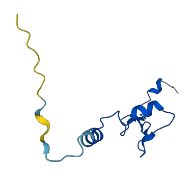 RPL37 3D structure