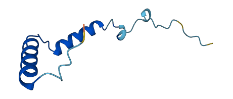 GNG11 3D structure