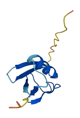 SUMO2 3D structure