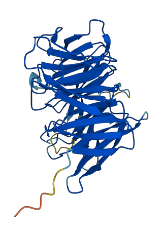 DCAF7 3D structure