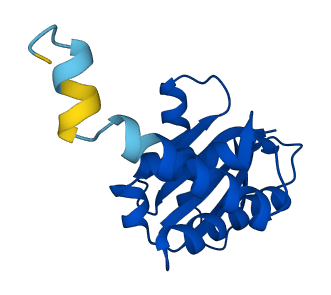 AP1S1 3D structure