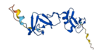 LMO4 3D structure