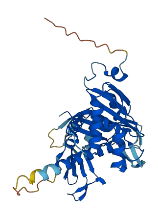 USP46 3D structure