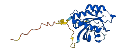 RRAS2 3D structure