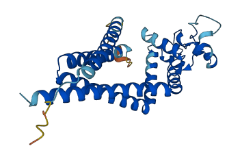 TSPAN5 3D structure