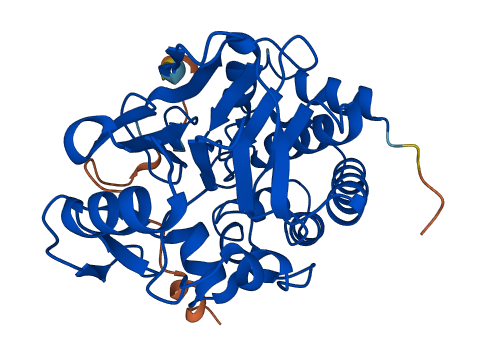 PPP1CA 3D structure