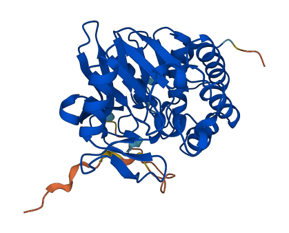 PPP1CB 3D structure