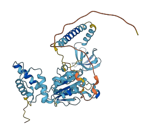 PSMC1 3D structure
