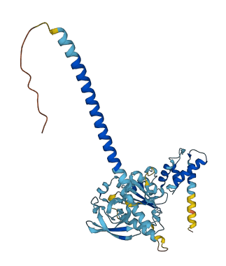 PSMC5 3D structure