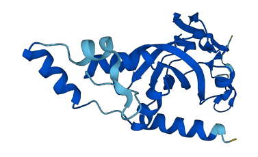 RPS8 3D structure