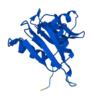 RPS15A 3D structure