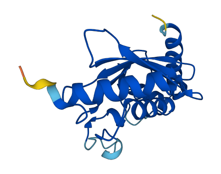 UBE2G1 3D structure