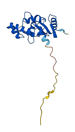 UBE2H 3D structure
