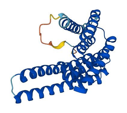 YWHAE 3D structure