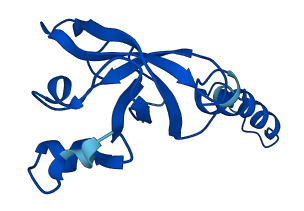 RPS23 3D structure
