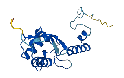 RPS18 3D structure